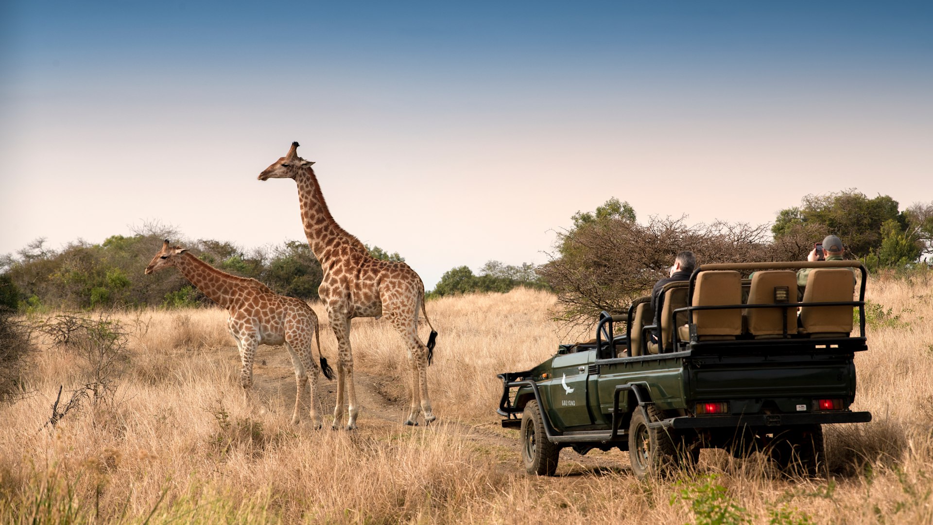 Experiencia de aventura en África