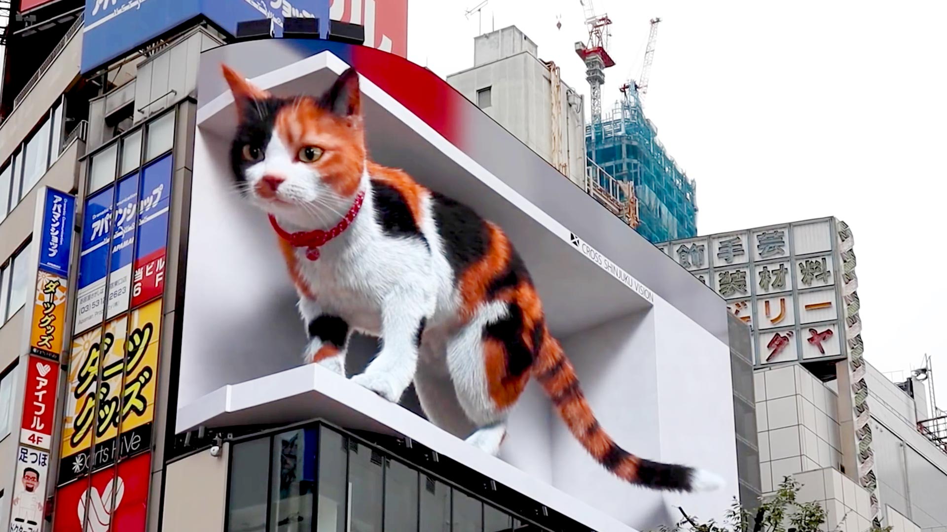 Pantalla urbana tridimensional en Tokio